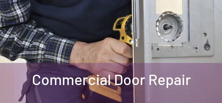 Commercial Door Repair